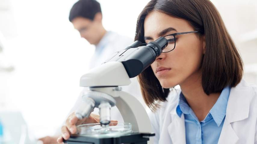 The Imagenomix research team